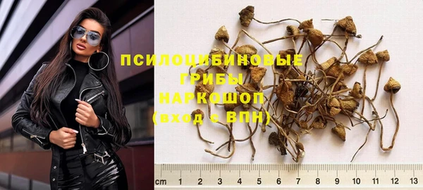 a pvp Богородск