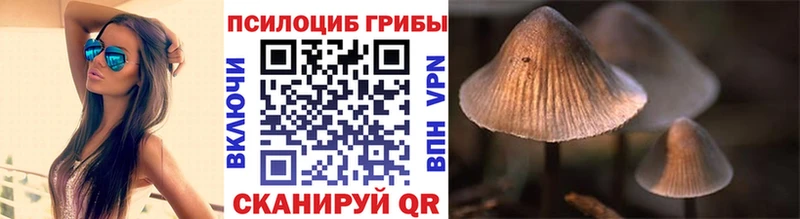 Псилоцибиновые грибы ЛСД что такое Курильск