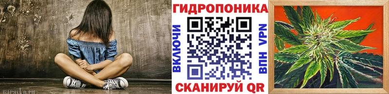 hydra сайт  хочу наркоту  Курильск  Каннабис сатива 